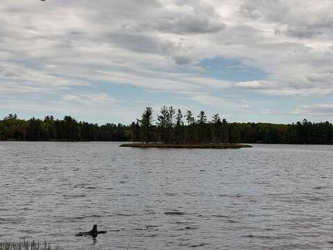 301A-301B Robinson Lake Road, Iron River, MI 49935