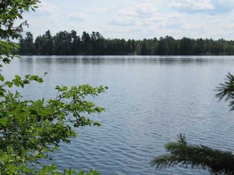 TBD Off Berry Road, Michigamme, MI 49861