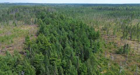9040 Bone Lake Route, Newberry, MI 49868