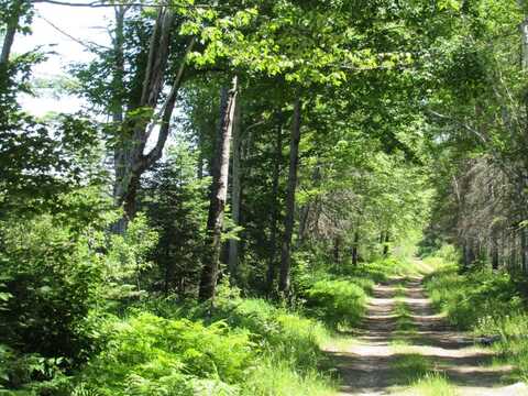 TBD County FL Road, Champion, MI 49814