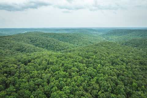 319 acres off County Road 6280, Jadwin, MO 65502