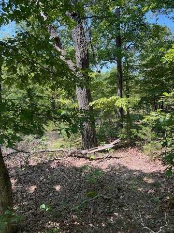 TBD Minx Valley Road, Roach, MO 65787