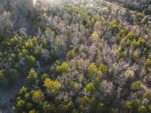 7 acres off Sargent Rd, Cabool, MO 65689