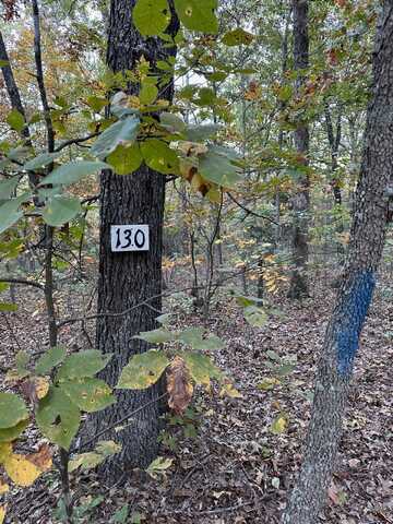 Inglewood Rd, Potosi, MO 63664