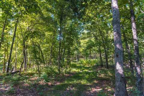 0 Highway B, Ellington, MO 63638