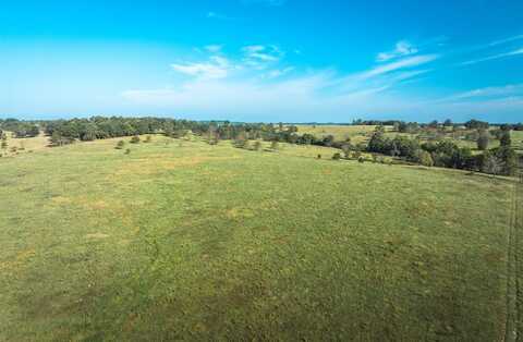 5451 Bado Rd, Cabool, MO 65689