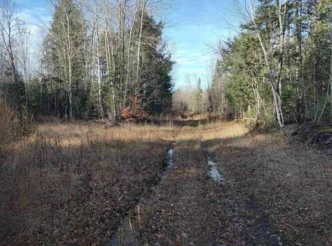 TBD Billie Helmer Road, Deerton, MI 49822