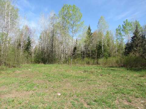 TBD US 141 Road, Lukes Road, Amasa, MI 49903