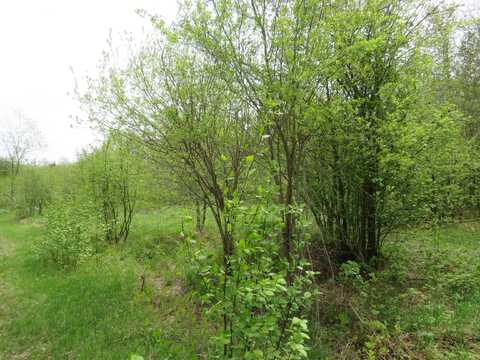 14108 Fire Tower Road, Sidnaw, MI 49962