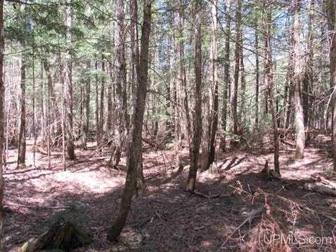 TBD Off Klingville Road, Chassell, MI 49916