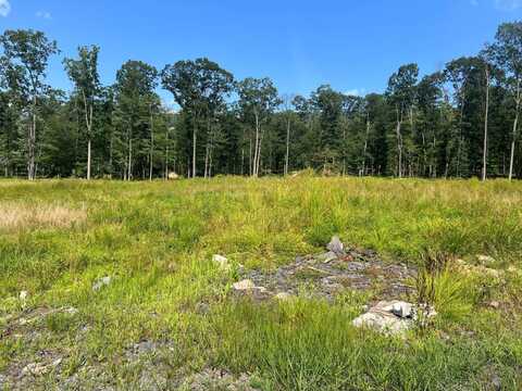 242 Brush Mountain Road, Altoona, PA 16601