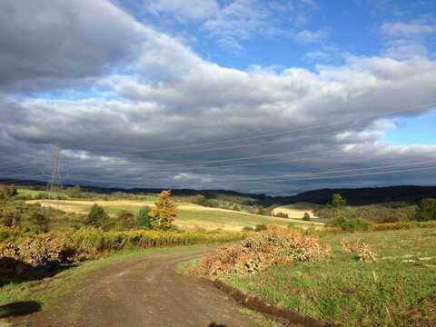 2085 CR19, Burlington Flats, NY 13315