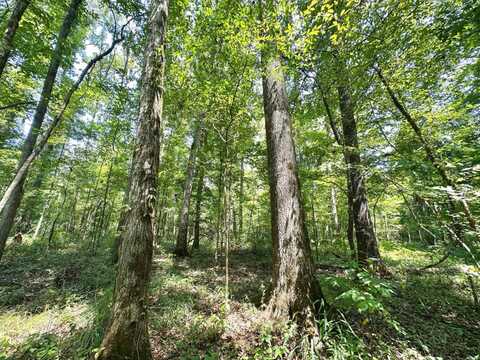 1 Champion Hill Road, Bolton, MS 39041