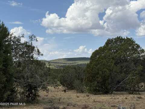 Lot 1461 Hog Heaven, Seligman, AZ 86337