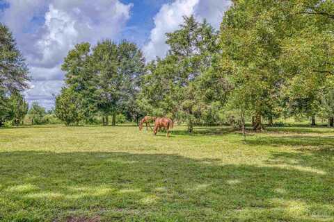 8430 Tidwell Rd, Pace, FL 32571
