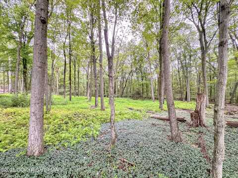 Pine Hollow Drive Drive, Lehighton, PA 18235