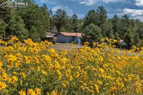 272 Spring Valley Trail, Florissant, CO 80816
