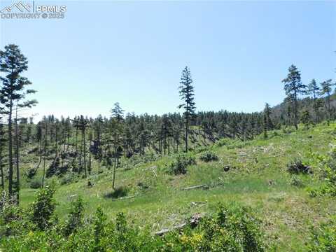 8249 Yuma Circle, Larkspur, CO 80118