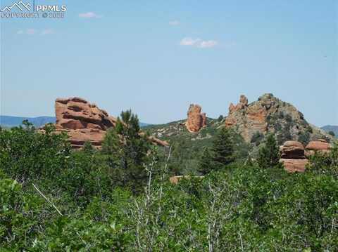 6467 Thunderbird Road, Larkspur, CO 80118