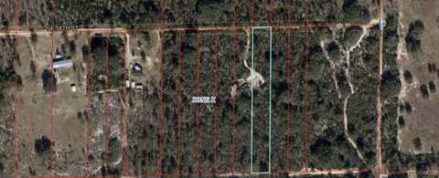 NE 56th Street, Bronson, FL 32621