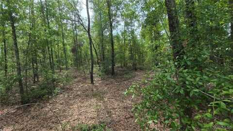 NE 56th Street, Bronson, FL 32621