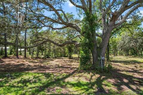 2384 S Columbine Avenue, Homosassa, FL 34448