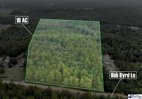 161 Bob Byrd Lane, Cheraw, SC 29520