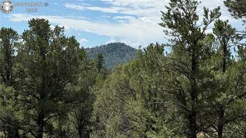 876 Q Path, Cotopaxi, CO 81223