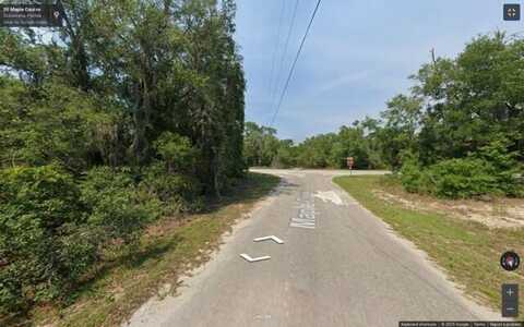 000 Maple Course, Silver Springs, FL 34488