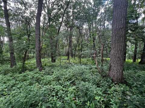 N33xx W Bluff Rd N, Stockholm, WI 54769