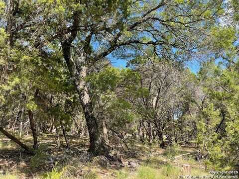 Lots 1-7 PARK ROAD 37, Lakehills, TX 78063