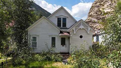 545 TREGAY STREET, Silver Plume, CO 80476