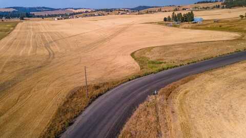 12902 S Jackson Rd, Mica, WA 99023