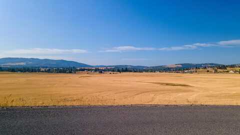 12404 S Jackson Rd, Mica, WA 99023