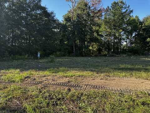 4085 Livingwood Lane, Sumter, SC 29154