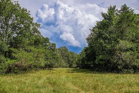 3420 Rohde Road, Round Top, TX 78954