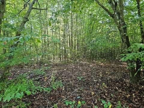 Abilene Rd, Keysville, VA 23947