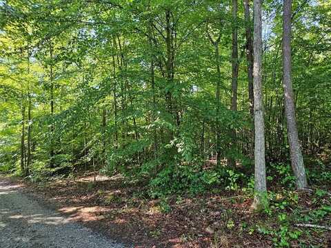 Abilene Rd, Keysville, VA 23947