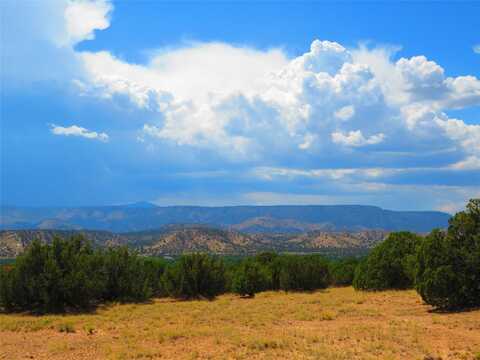 Private Drive 1613B lot: 6, Medanales, NM 87548