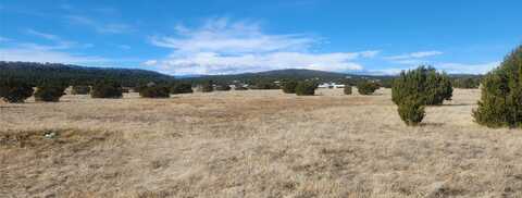 Parcel C Tract D, Las Vegas, NM 87701