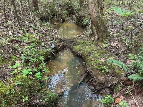 4.3 Acs Rodgers Chapel Road, Clover, VA 24534