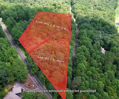 Lt 41 Snap Dragon Way, Landrum, SC 29356