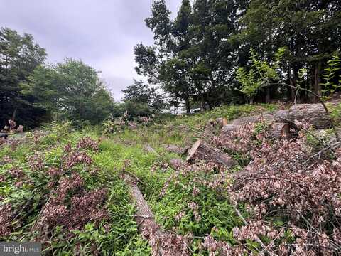 VACANT LOT AT 8710 CAPITOL HILL ROAD, WAYNESBORO, PA 17268