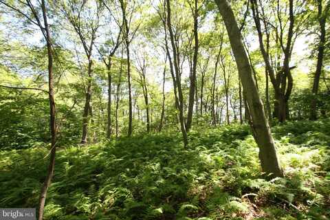 000 LEIDIG, THREE SPRINGS, PA 17264
