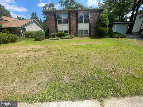 7107 SONTAG WAY, SPRINGFIELD, VA 22153