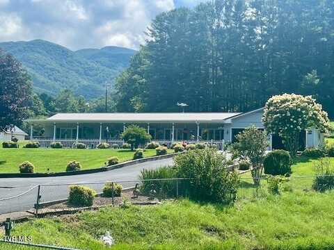 121 Elisha Garland Road, Roan Mountain, TN 37687