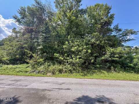 Tbd Herron Drive, Kingsport, TN 37663