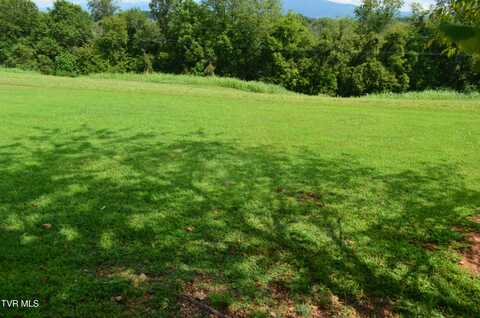 Lot 15 Golf Villa Drive, Greeneville, TN 37743