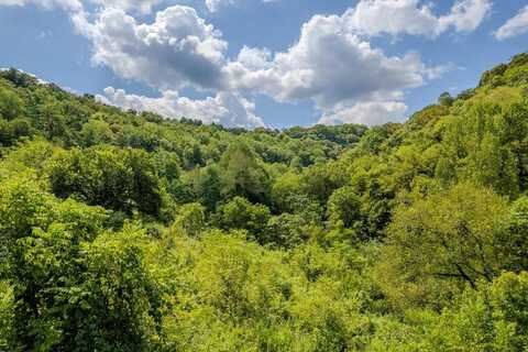 53.19AC Watts Hollow Rd, BUFFALO VALLEY, TN 38548