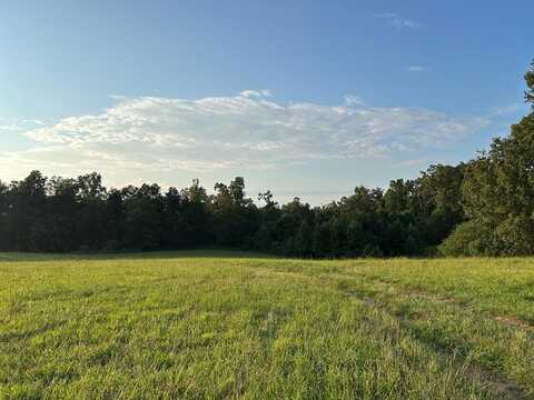 379 Christenson Road, Deer Lodge, TN 37726
